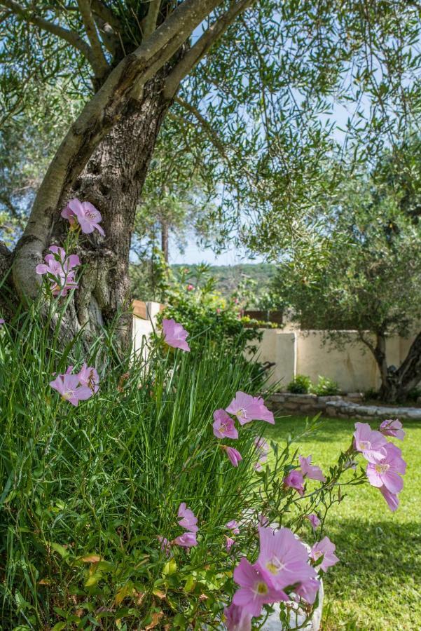 Corfu Villa Linea Línia Exteriör bild