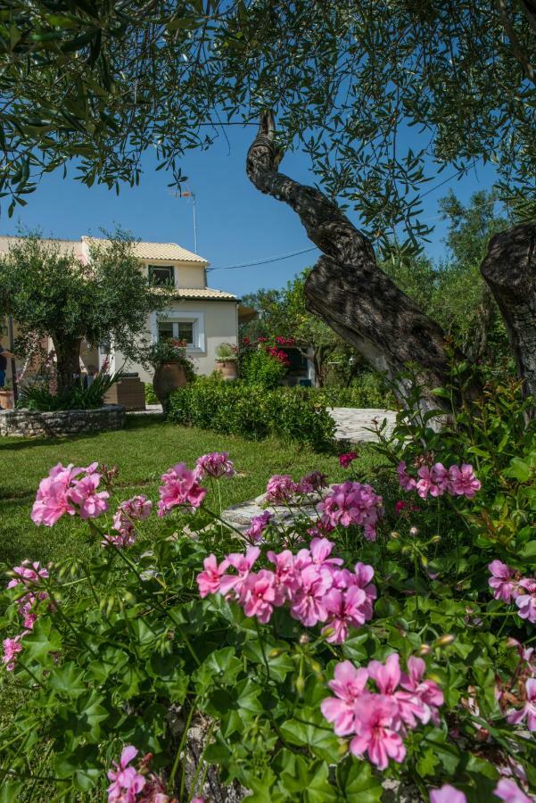 Corfu Villa Linea Línia Exteriör bild