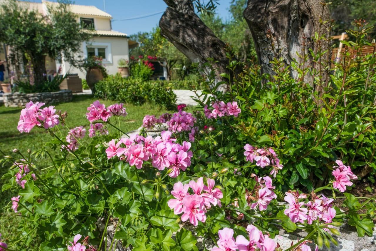 Corfu Villa Linea Línia Exteriör bild