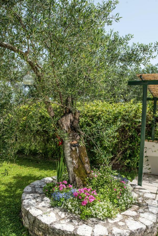 Corfu Villa Linea Línia Exteriör bild